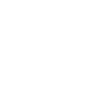 Easy Handling icon_white