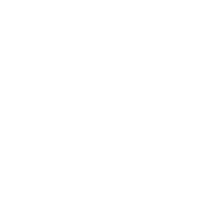 Integrated System icon (002)