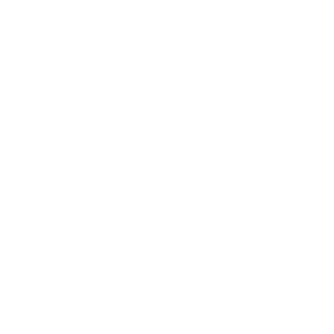 Stay Grounded icon_white